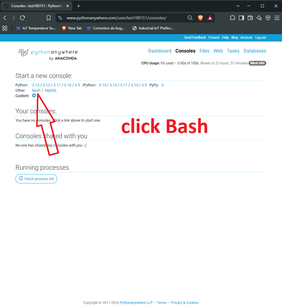 Bash